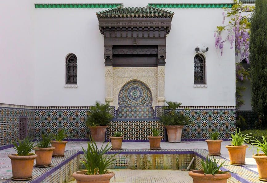 green potted plants on brown brick floor