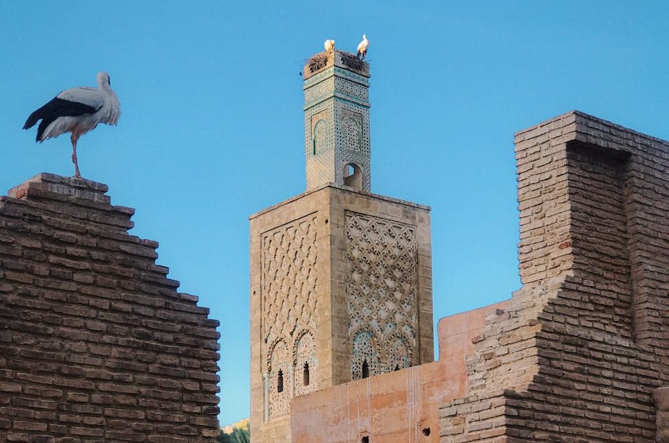 historic mosque tower and stork in rabat